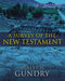 A Survey of the New Testament: 5th Edition / Edition 5 - Hardcover | Diverse Reads
