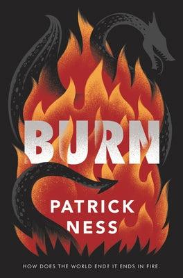 Burn - Paperback | Diverse Reads