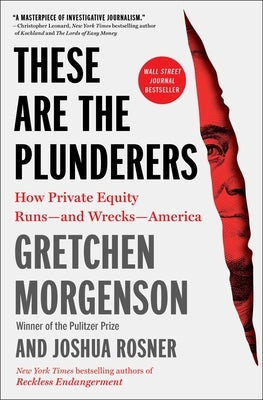 These Are the Plunderers: How Private Equity Runs--And Wrecks--America - Paperback | Diverse Reads
