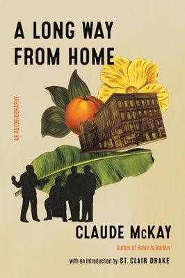 A Long Way from Home - Paperback | Diverse Reads