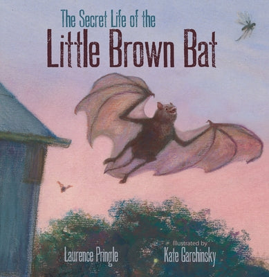 The Secret Life of the Little Brown Bat - Hardcover | Diverse Reads