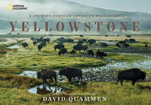 Yellowstone: A Journey Through America's Wild Heart - Hardcover | Diverse Reads