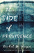 This Side of Providence - Paperback |  Diverse Reads