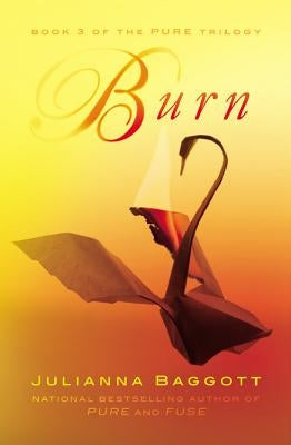 Burn - Paperback | Diverse Reads