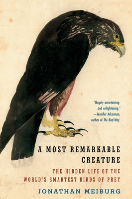 A Most Remarkable Creature: The Hidden Life of the World's Smartest Birds of Prey - Paperback | Diverse Reads