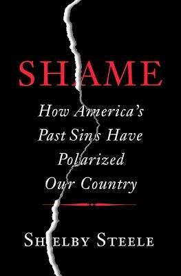Shame: How America's Past Sins Have Polarized Our Country - Hardcover |  Diverse Reads