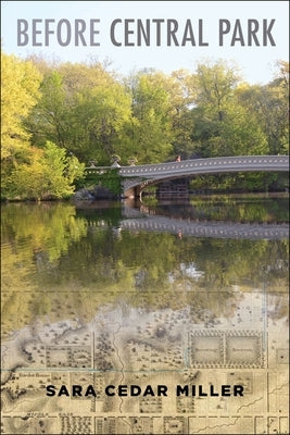Before Central Park - Hardcover | Diverse Reads