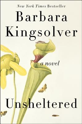 Unsheltered - Paperback | Diverse Reads