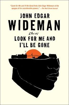 Look for Me and I'll Be Gone: Stories - Paperback | Diverse Reads