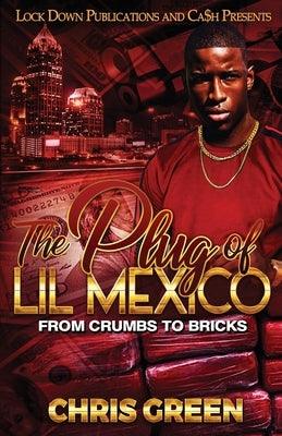 The Plug of Lil Mexico - Paperback |  Diverse Reads