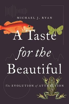 A Taste for the Beautiful: The Evolution of Attraction - Paperback | Diverse Reads