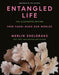Entangled Life: The Illustrated Edition: How Fungi Make Our Worlds - Hardcover | Diverse Reads