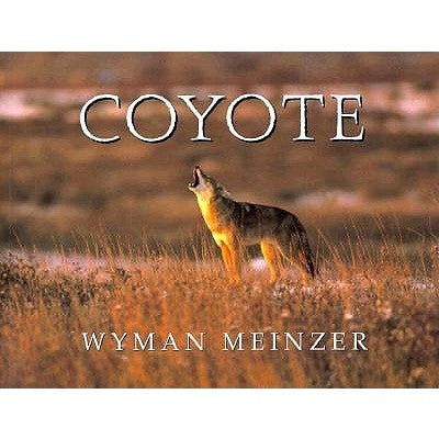 Coyote - Paperback | Diverse Reads