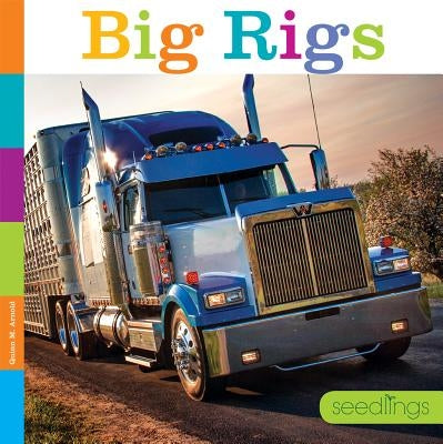 Big Rigs - Paperback | Diverse Reads