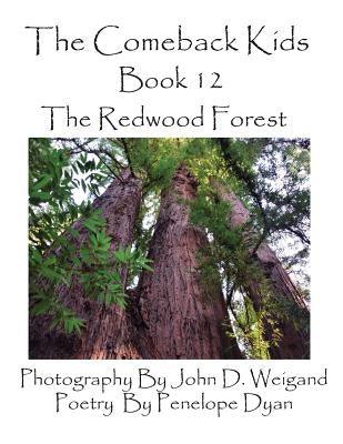 The Comeback Kids, Book 12, the Redwood Forest - Paperback | Diverse Reads