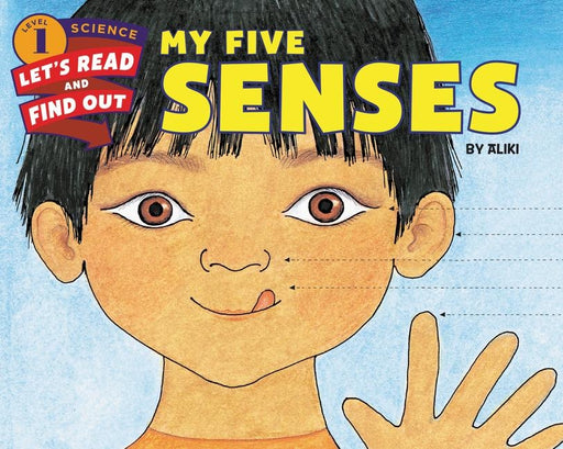 My Five Senses - Hardcover | Diverse Reads