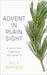 Advent in Plain Sight: A Devotion through Ten Objects - Paperback | Diverse Reads