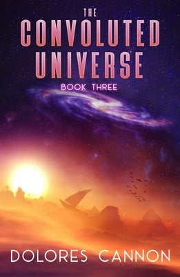 The Convoluted Universe, Book Three - Paperback | Diverse Reads