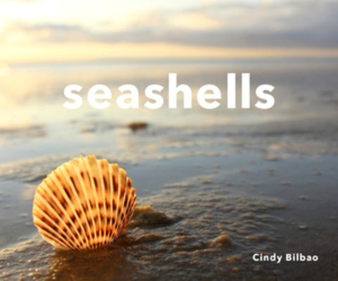 Seashells - Hardcover | Diverse Reads
