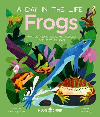 Frogs (a Day in the Life): What Do Frogs, Toads, and Tadpoles Get Up to All Day? - Hardcover | Diverse Reads