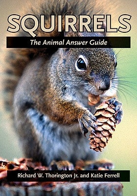 Squirrels: The Animal Answer Guide - Paperback | Diverse Reads