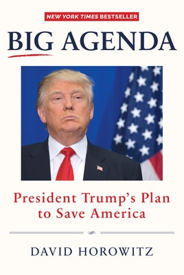 BIG AGENDA: President Trump's Plan to Save America - Hardcover | Diverse Reads