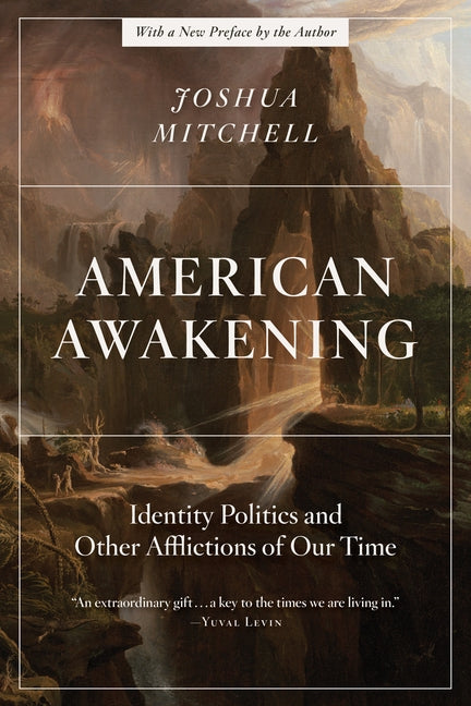 American Awakening: Identity Politics and Other Afflictions of Our Time - Paperback | Diverse Reads