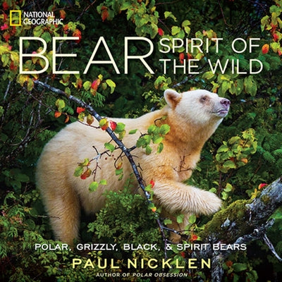 Bear: Spirit of the Wild - Hardcover | Diverse Reads