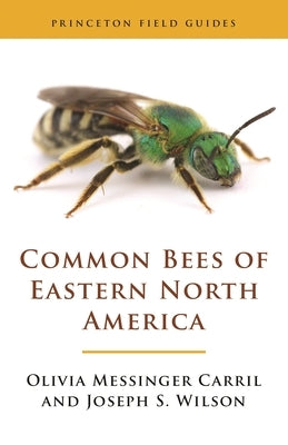 Common Bees of Eastern North America - Paperback | Diverse Reads