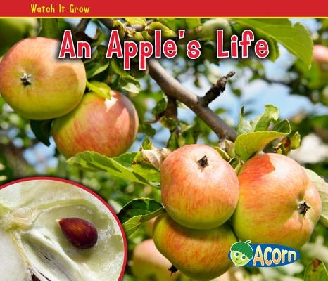 An Apple's Life - Paperback | Diverse Reads