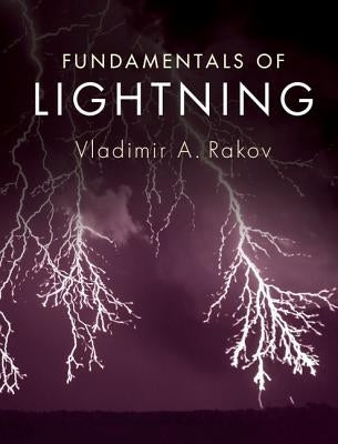 Fundamentals of Lightning - Hardcover | Diverse Reads
