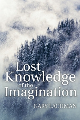 Lost Knowledge of the Imagination - Paperback | Diverse Reads