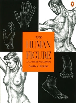 The Human Figure: An Anatomy for Artists - Paperback | Diverse Reads