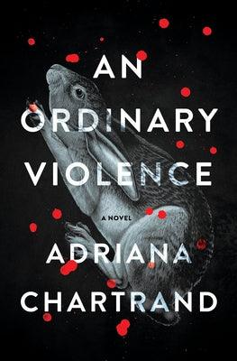 An Ordinary Violence - Paperback