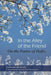 In the Alley of the Friend: On the Poetry of Hafez - Paperback