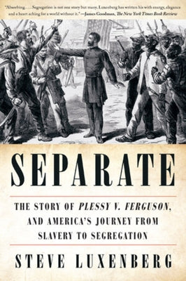 Separate: The Story of Plessy v. Ferguson, and America's Journey from Slavery to Segregation - Paperback | Diverse Reads