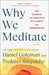 Why We Meditate: The Science and Practice of Clarity and Compassion - Hardcover | Diverse Reads