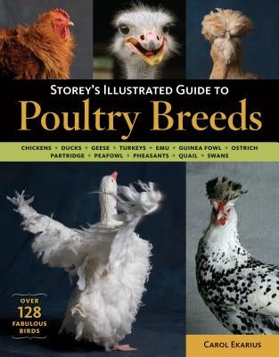 Storey's Illustrated Guide to Poultry Breeds: Chickens, Ducks, Geese, Turkeys, Emus, Guinea Fowl, Ostriches, Partridges, Peafowl, Pheasants, Quails, Swans - Paperback | Diverse Reads