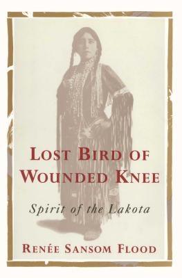 Lost Bird of Wounded Knee: Spirit of the Lakota - Paperback | Diverse Reads