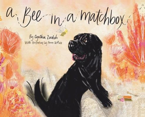 A Bee in a Matchbox - Hardcover | Diverse Reads