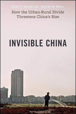 Invisible China: How the Urban-Rural Divide Threatens China's Rise - Paperback | Diverse Reads