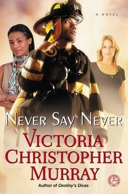 Never Say Never - Paperback |  Diverse Reads