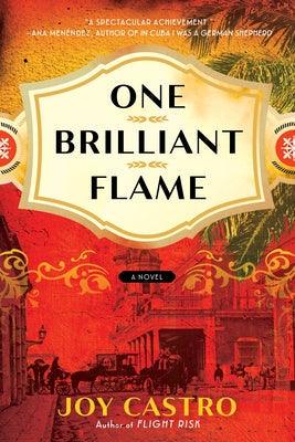 One Brilliant Flame - Paperback