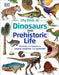 My Book of Dinosaurs and Prehistoric Life: Animals and plants to amaze, surprise, and astonish! - Hardcover | Diverse Reads