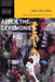 After the Ceremonies: New and Selected Poems - Paperback |  Diverse Reads