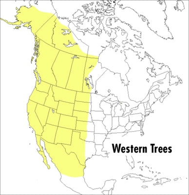 A Peterson Field Guide To Western Trees: Western United States and Canada - Paperback | Diverse Reads