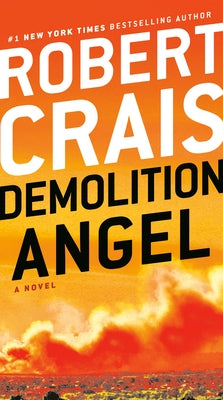Demolition Angel: A Novel - Paperback | Diverse Reads