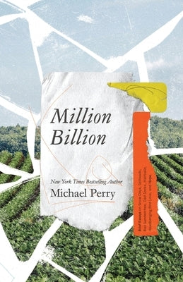 Million Billion: Brief Essays on Snow Days, Spitwads, Bad Sandwiches, Dad Socks, Hairballs, Headbanging Bird Love, and Hope. - Paperback | Diverse Reads