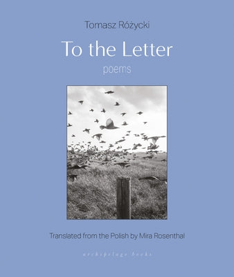 To the Letter: Poems - Paperback | Diverse Reads
