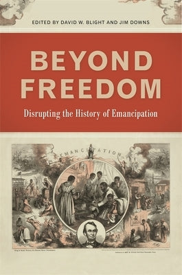 Beyond Freedom: Disrupting the History of Emancipation - Paperback | Diverse Reads